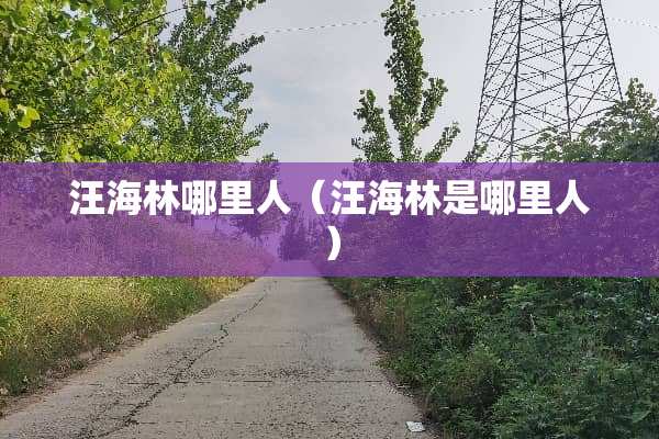 汪海林哪里人（汪海林是哪里人）