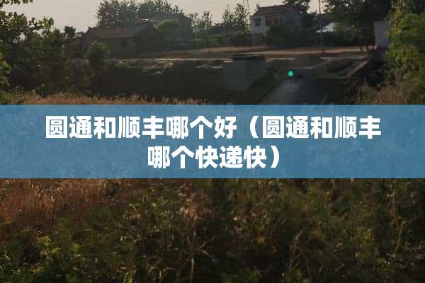 圆通和顺丰哪个好（圆通和顺丰哪个快递快）