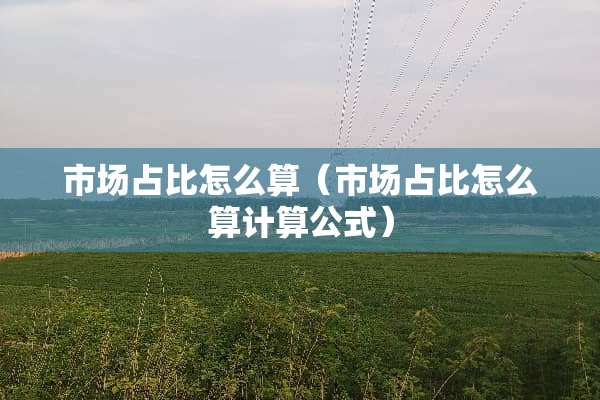 市场占比怎么算（市场占比怎么算计算公式）