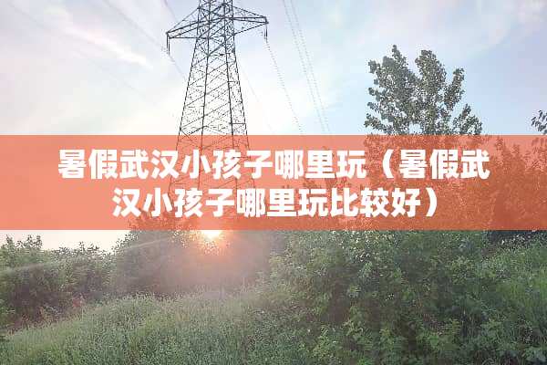 暑假武汉小孩子哪里玩（暑假武汉小孩子哪里玩比较好）