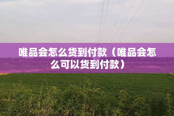 唯品会怎么货到付款（唯品会怎么可以货到付款）