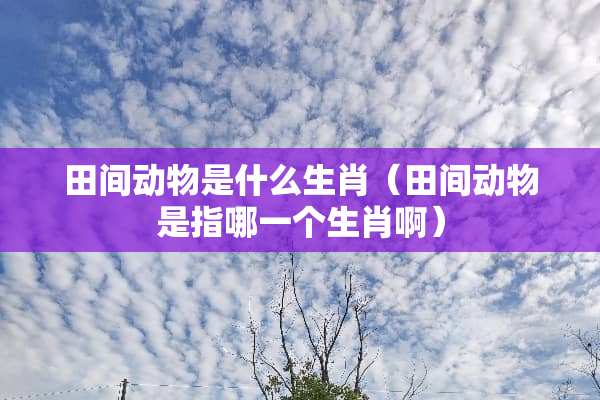 田间动物是什么生肖（田间动物是指哪一个生肖啊）