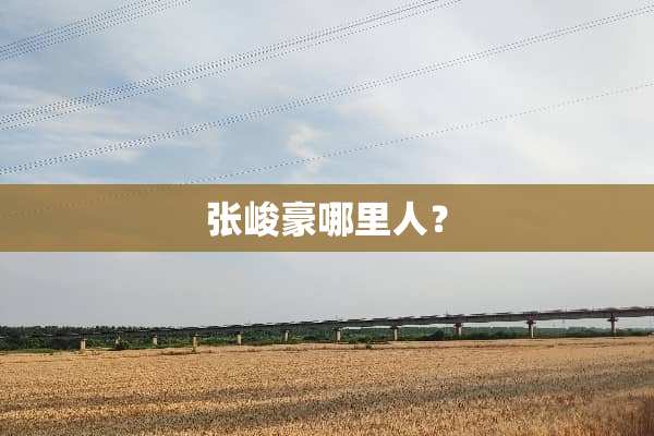 张峻豪哪里人？