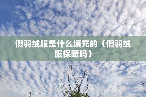 假羽绒服是什么填充的（假羽绒服保暖吗）