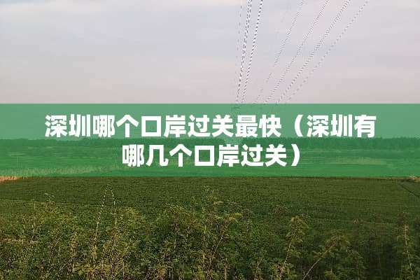 深圳哪个口岸过关最快（深圳有哪几个口岸过关）