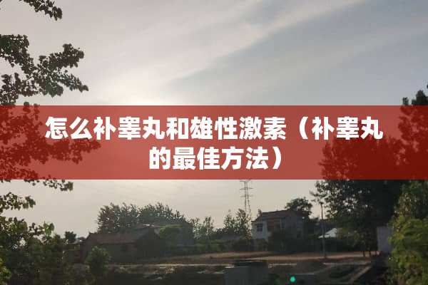 怎么补**和雄性激素（补**的最佳方法）