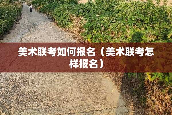 美术联考如何报名（美术联考怎样报名）