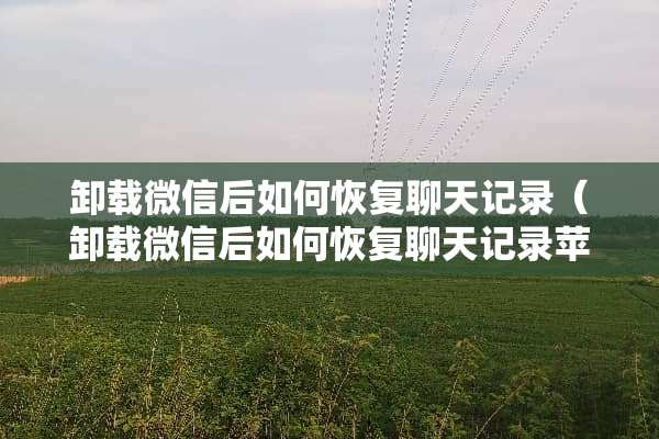 卸载微信后如何恢复聊天记录（卸载微信后如何恢复聊天记录苹果手机）