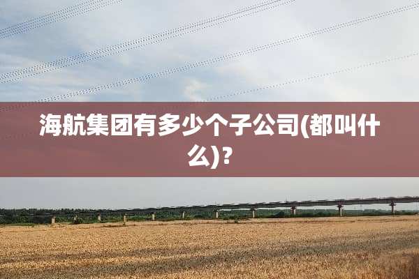 海航集团有多少个子公司(都叫什么)？