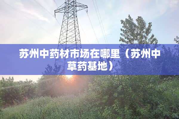 苏州中药材市场在哪里（苏州中草药基地）