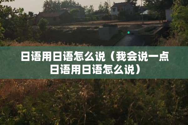 日语用日语怎么说（我会说一点日语用日语怎么说）