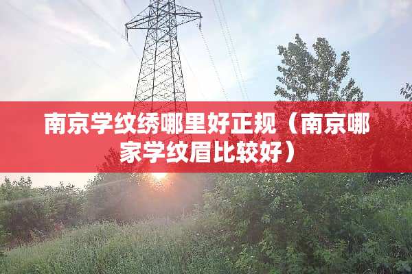 南京学纹绣哪里好正规（南京哪家学纹眉比较好）