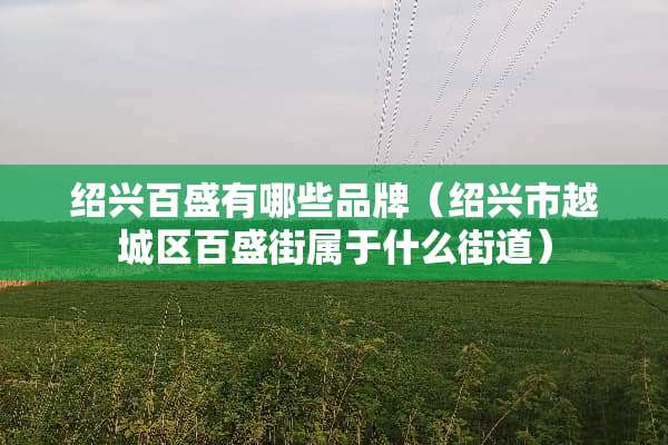 绍兴百盛有哪些品牌（绍兴市越城区百盛街属于什么街道）