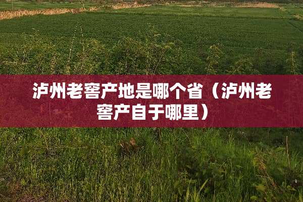 泸州老窖产地是哪个省（泸州老窖产自于哪里）