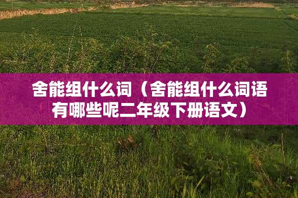 舍能组什么词（舍能组什么词语有哪些呢二年级下册语文）