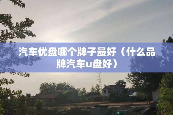 汽车优盘哪个牌子最好（什么品牌汽车u盘好）