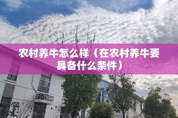农村养牛怎么样（在农村养牛要具备什么条件）