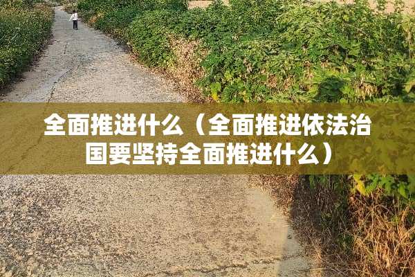 全面推进什么（全面推进依法治国要坚持全面推进什么）