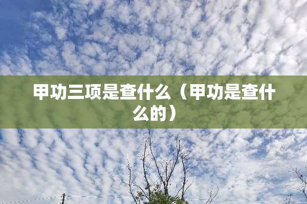 甲功三项是查什么（甲功是查什么的）