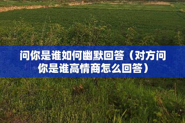 问你是谁如何幽默回答（对方问你是谁高情商怎么回答）