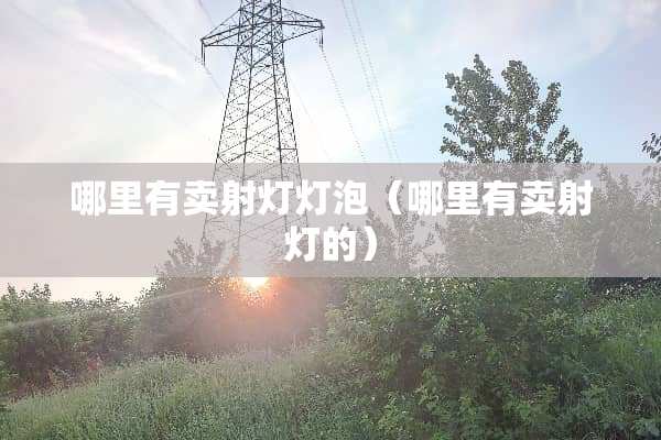 哪里有卖射灯灯泡（哪里有卖射灯的）