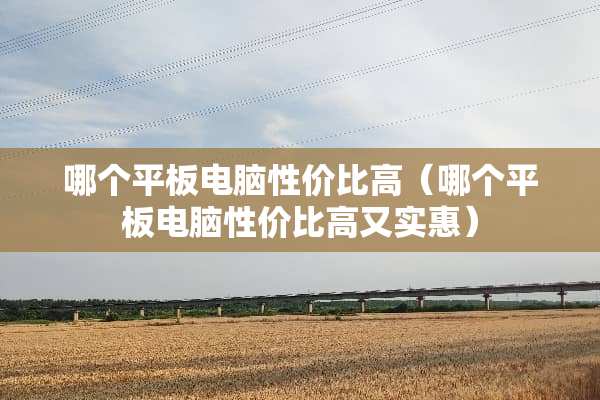 哪个平板电脑性价比高（哪个平板电脑性价比高又实惠）