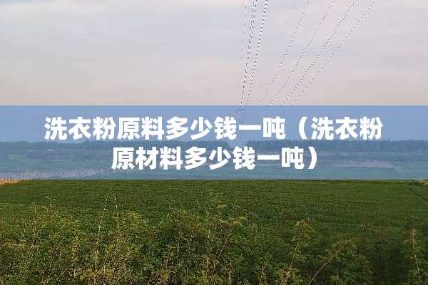 洗衣粉原料多少钱一吨（洗衣粉原材料多少钱一吨）