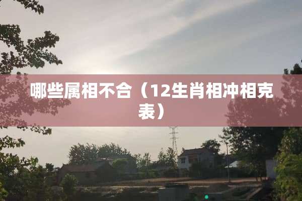哪些属相不合（12生肖相冲相克表）