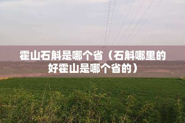 霍山石斛是哪个省（石斛哪里的好霍山是哪个省的）