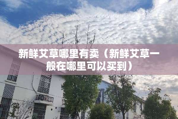 新鲜艾草哪里有卖（新鲜艾草一般在哪里可以买到）