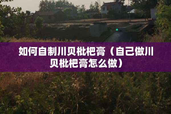 如何自制川贝枇杷膏（自己做川贝枇杷膏怎么做）