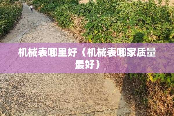 机械表哪里好（机械表哪家质量最好）