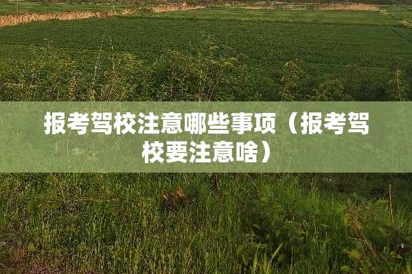 报考驾校注意哪些事项（报考驾校要注意啥）