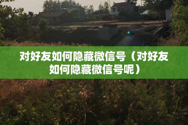 对好友如何隐藏微信号（对好友如何隐藏微信号呢）