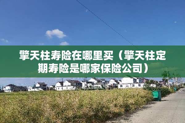 擎天柱寿险在哪里买（擎天柱定期寿险是哪家保险公司）