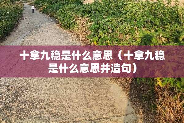 十拿九稳是什么意思（十拿九稳是什么意思并造句）