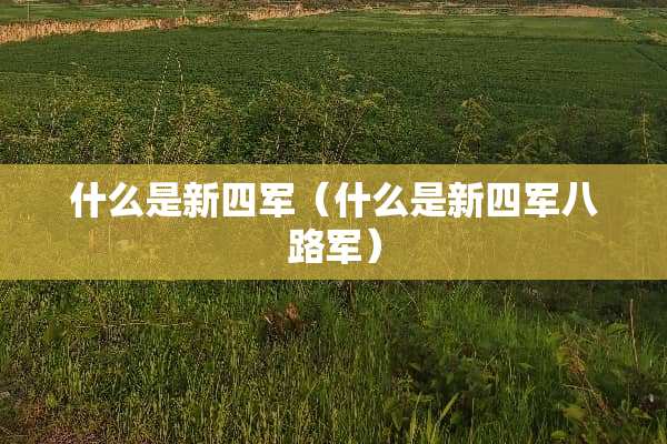什么是***（什么是***八路军）