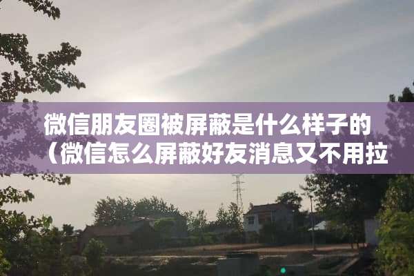 微信朋友圈被屏蔽是什么样子的（微信怎么屏蔽好友消息又不用拉黑）