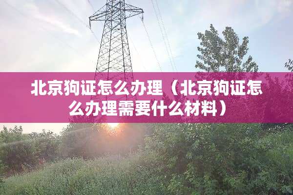 北京狗证怎么办理（北京狗证怎么办理需要什么材料）