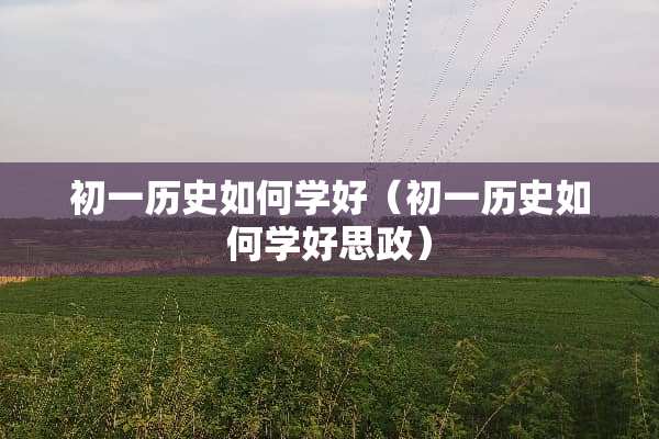 初一历史如何学好（初一历史如何学好思政）