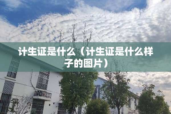 计生证是什么（计生证是什么样子的图片）