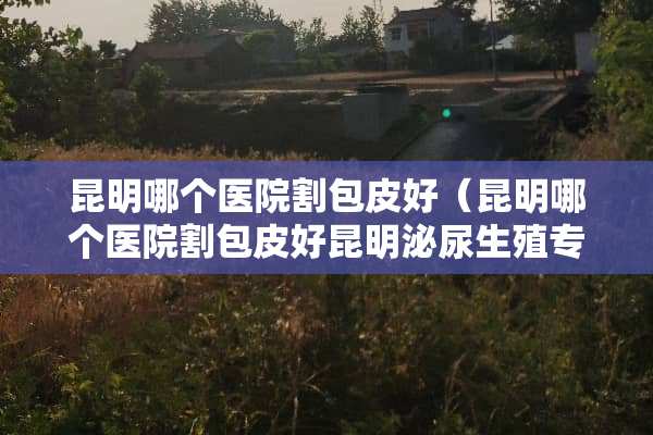 昆明哪个医院割包皮好（昆明哪个医院割包皮好昆明泌尿生殖专科电话呢）