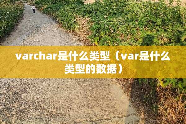 varchar是什么类型（var是什么类型的数据）