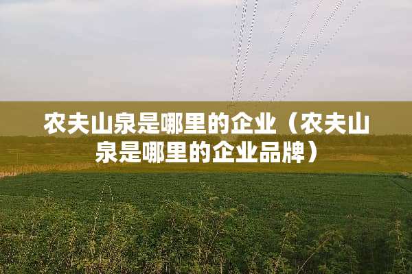 农夫山泉是哪里的企业（农夫山泉是哪里的企业品牌）