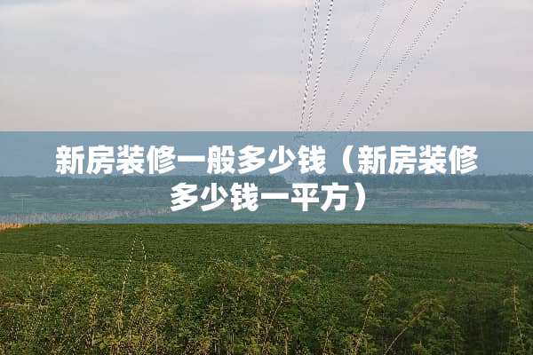 新房装修一般多少钱（新房装修多少钱一平方）