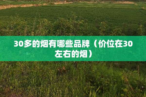 30多的烟有哪些品牌（价位在30左右的烟）