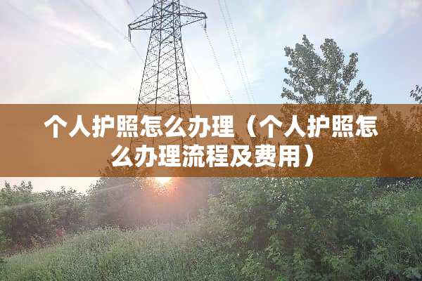 个人护照怎么办理（个人护照怎么办理流程及费用）