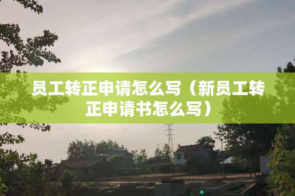 员工转正申请怎么写（新员工转正申请书怎么写）