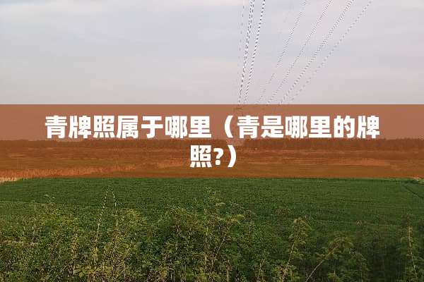 青牌照属于哪里（青是哪里的牌照?）