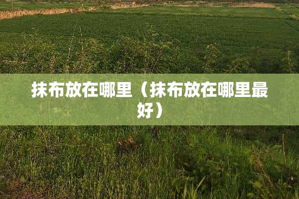 抹布放在哪里（抹布放在哪里最好）